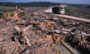 Deforestación ilegal para una empresa papelera y plantación para generar aceite de palma en Sumatra. Foto: Alain Compost / WWF.