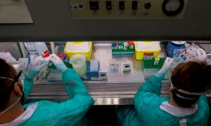 Personal sanitario trabaja con muestras en un laboratorio.EFE/Enric Fontcuberta