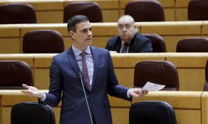 Pedro Sáchez en el Senado