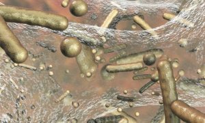Otras miradas - Nanotecnología para evitar que las infecciones se conviertan en pandemia