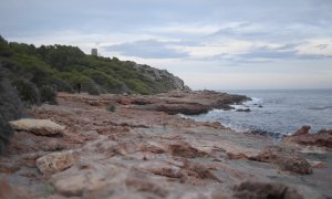 zona de la Renegà és un enclavament natural privilegiat amb un dels sistemes d'acantilats millor desenvolupats al litoral de la província de Castellò.