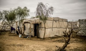 Una chabola construida con con madera, plástico y cartón en un asentamiento de migrantes en Lepe, Huelva.- JAVIER FERGO