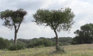 La Junta trabaja en la sostenibilidad medioambiental de Andalucía