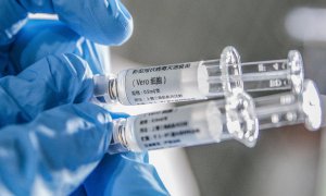 La vacuna de la COVID-19 no saldrá en 2020, pero la OMS avanza que habrá "buenas noticias" sobre tratamientos en pocas semanas