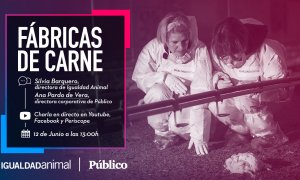 'Fábricas de Carne': charla entre Ana Pardo de Vera y Silvia Barquero sobre la crueldad de la industria de la carne de pollo en España