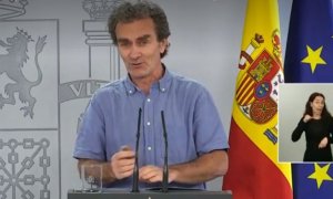 El director del Centro de Coordinación de Alertas y Emergencias Sanitarias, Fernando Simón. / Archivo