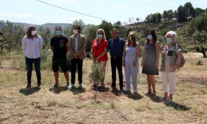 Els vuit alcaldes afectats per l'incendi de la Ribera d'Ebre davant d'unes de les oliveres plantades en l'acte de commemoració del primer aniversari de l'incendi.
