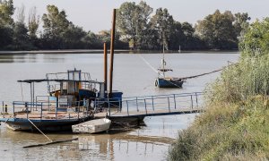 Imagen del Guadalquivir a su paso por el municipio sevillano de Coria del Río, una de las dos localidades donde se ha registrado el brote de meningoencefalitis vírica con 18 personas afectadas. - EFE