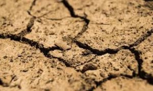 Sequía / Junta de Andalucía