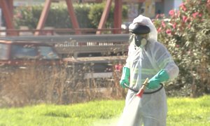 Continúan las fumigaciones en Coria del Río contra el mosquito que propaga el virus del Nilo