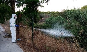 Fotografía facilitada por el Ayuntamiento de Palomares del Río (Sevilla) de un operario fumigando un terreno tras anunciar dicho municipio que iniciaría el protocolo de actuación contra el mosquito del virus del Nilo ante los casos de contagio producidos