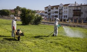 Dos trabajadores durante las labores de fumigación contra los mosquitos causantes del virus del Nilo en Coria del Río / María José López / Europa Press
