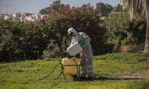 Un trabajador durante las labores de fumigación contra los mosquitos causantes del virus del Nilo en Coria del Río / María José López / EUROPA PRESS