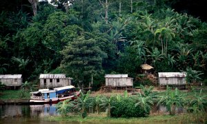 Un grito global en defensa de la Amazonía