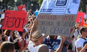 Vista de los asistentes a la manifestación celebrada el 16 de agosto en la Plaza de Colón de Madrid en contra del uso de las mascarillas a todas horas y en los espacios públicos.EFE/Fernando Alvarado/Archivo