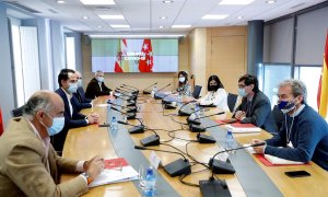 Responsables de la Comunidad de Madrid y del Ministerio de Sanidad en la última reunión del Grupo Covid-19./ Comunidad de Madrid.