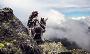 Según este estudio, el origen del perro habría tenido lugar hace 20.000 años.