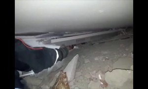 Aparatoso rescate de un gato atrapado bajo los escombros en Esmirna