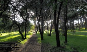 Excursión por los mejores rincones de la Casa de Campo en Madrid