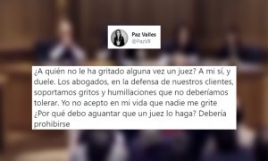 "No acepto en mi vida que nadie me grite, ¿por qué debo aguantar que un juez lo haga?": críticas por una tensa vista oral que acabó con un magistrado a gritos