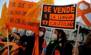 Miembros de la plataforma Más plurales se manifiesta este jueves en frente del Congreso de los Diputados en Madrid por la nueva ley de educación Ley Orgánica de Modificación de la LOE (LOMLOE), también conocida como ley Celaá.