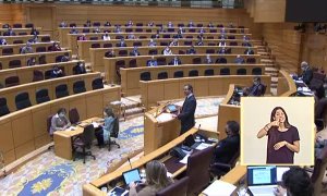 La decisión de volver a juzgar de nuevo a Arnaldo Otegui se cuela en el debate de los PGE en el Senado