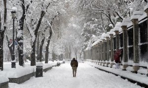 Vista del Paseo del Prado en Madrid, este sábado, cubierto de nieve tras el paso de la borrasca Filomena.