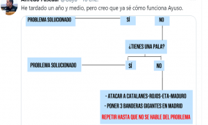 El sencillo esquema en Twitter que explica el sistema de gestión de Ayuso en Madrid