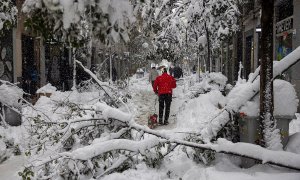 Varias personas pasean por la calle Fuencarral en Madrid, en la que numerosos árboles no han resistido el peso de la nieve.