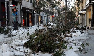 12/01/2021.- Vista de la nieve y los árboles caídos en la acera de la calle Fuencarral (Madrid).