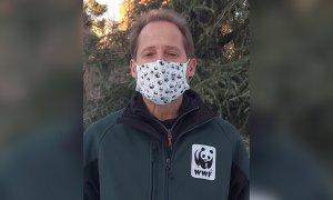 WWF reclama a los líderes mundiales un Marco Global de Biodiversidad ambicioso