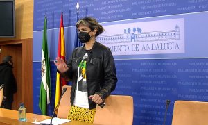 Teresa Rodríguez se incorpora a la actividad parlamentaria tras su baja maternal