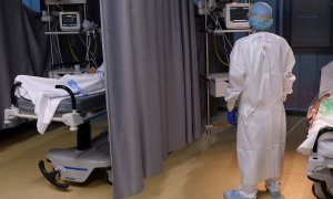 Un médico de Urgencias del Hospital Pío del Rio Hortega de Valladolid observa el monitor de uno de los pacientes ingresados por covid 19 este jueves.