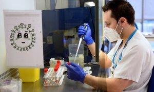 Un técnico de laboratorio del Hospital Pío del Rio Hortega de Valladolid, analiza pruebas PCR.