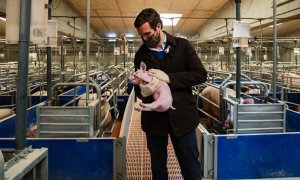 El líder del PP, Pablo Casado, visita una granja en la localidad de Lleida.