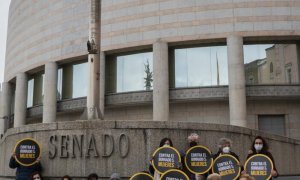 La Alianza Contra el Borrado de las Mujeres en la puerta del Senado.