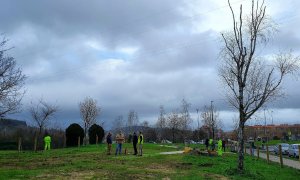 El primer parque canino de Torrelavega se abrirá en marzo, con 2.000 metros cuadrados de superficie