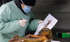Otras miradas - Una imagen congelada de nuestra historia: Ötzi cumple 30 años