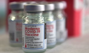 Principia Marsupia - ¿Las personas ya vacunadas pueden continuar transmitiendo del virus?