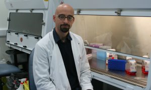 El doctor i genetista Salvador Macip al laboratori.