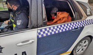 Imagen del agresor detenido por los agentes de la Policía Local de Logroño.