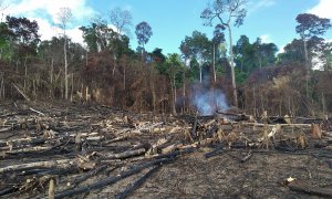 La deforestación ilegal en Brasil ha sufrido el peor mes de marzo de los últimos diez años. - ASCOM SEMAS PARÁ