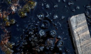 Burbujas de metano en una zona pantanosa cercana a un puesto de investigación en Stordalen Mire, Suecia.