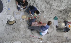 Trabajos de exhumación de las víctimas en la fosa común de Baltanás. — Asociación para la Recuperación de la Memoria Histórica