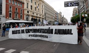 Protesta del 9 de mayo organizada por grupos animalistas para pedir la liberación de los animales del laboratorio de Vivotecnia en Madrid.