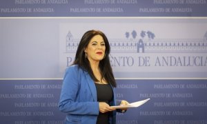 Ángeles Férriz, nueva portavoz parlamentaria del PSOE de Andalucía.