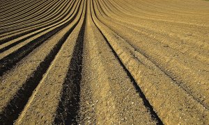 Ecologismo de emergencia - Suelo fértil, un bien común en riesgo severo