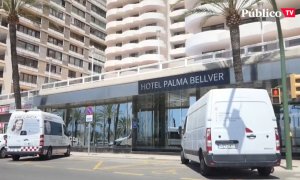 Macrobrote de Mallorca: una cadena de negligencias desde el inicio