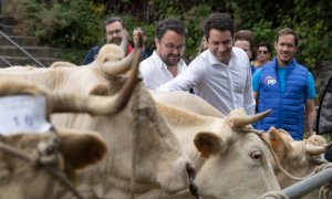El secretario general del PP, Teodoro García Egea, visita una ganadería en La Palma.