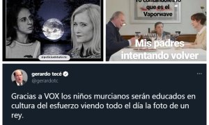 'Collage' de dos memes de la cuenta Policía del Afecto y un tuit de Gerardo Tecé. - Público